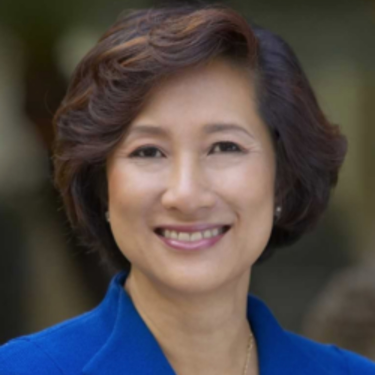 Constance H. Lau CEO Hawaiian Electric Industries